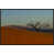 Image Brush Gel selected