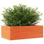 Amiela Planter Box-918828468-918828497