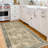 Myshawn Dua Distressed Border Brown Gray Beige Machine Washable Area Rug-1771649796