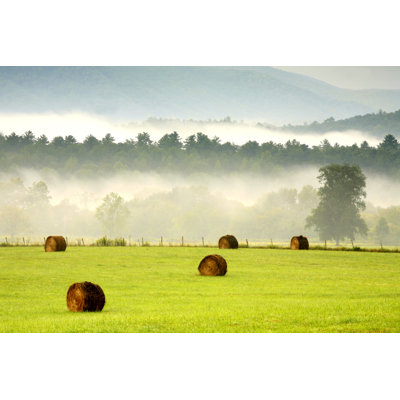 There Are Bales by Rcimages - No Frame Print on Canvas