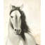 Graceful Horse - Beige Farmhouse-286210983-286210982