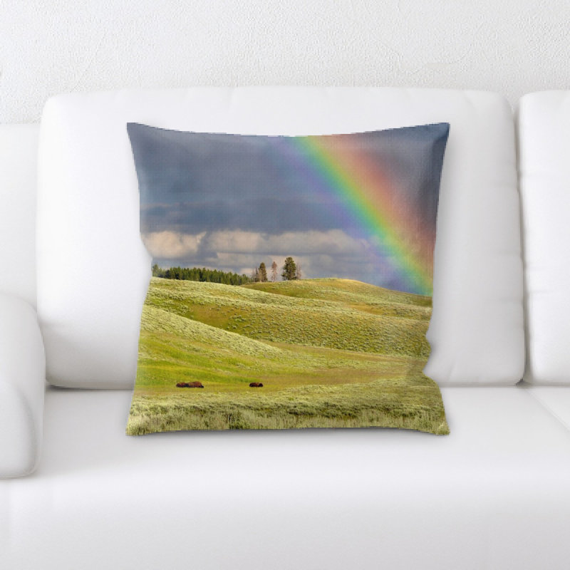Rainbow Microsuede Reversible Throw Pillow