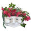 Jardinière murale mauve Muggly's Grandma-1447924589