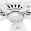 Ventilateur de plafond standard à 5 pales de 52 po avec chaînette Builder Elite-23681153