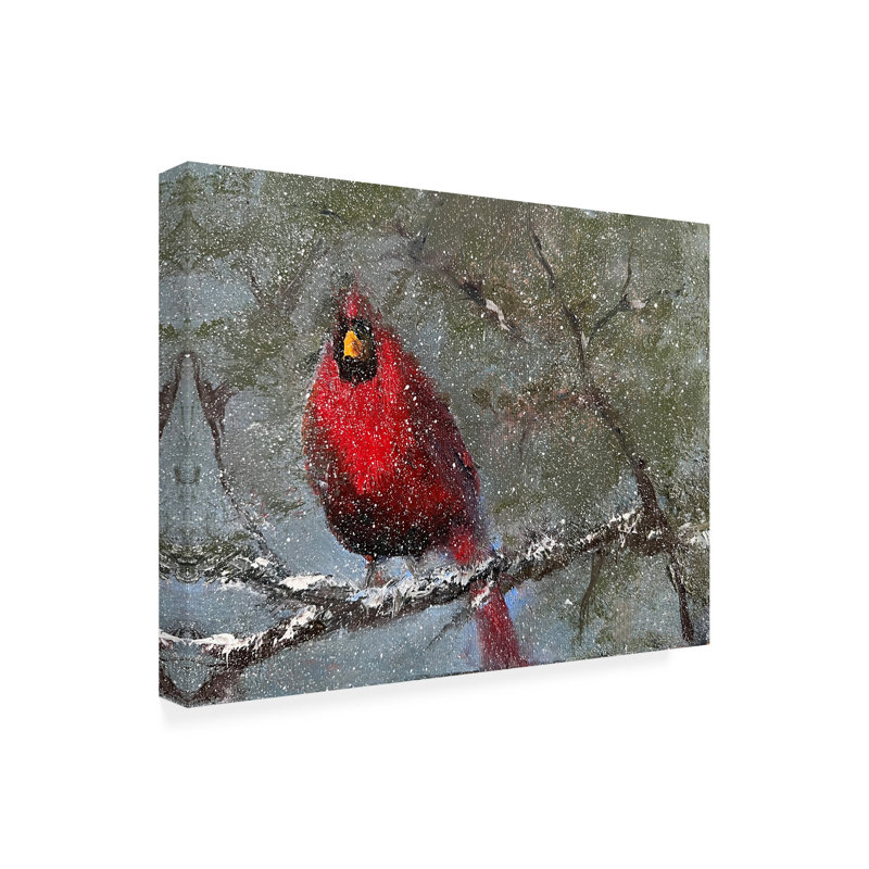 «Cardinal In Snow I» sur toile, H 14 po x l 14 po