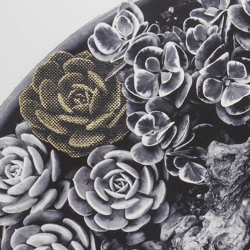 Succulent Garden B Print