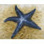 Napperon beige en polyester tressé étoile de mer - Décoration intérieure