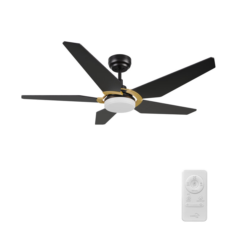 Ventilateur de plafond de 52 po avec éclairage à DEL