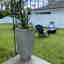 Customer photo 3 of 3