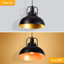 Luminaire suspendu unique / remarquable