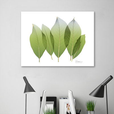 « golden magnolia leaf », reproduction d’impression sur toile tendue
