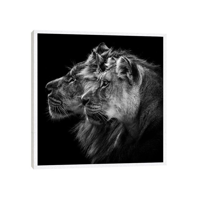 Lion And Lioness Portrait by Laurent Lothare Dambreville - Print on Canvas