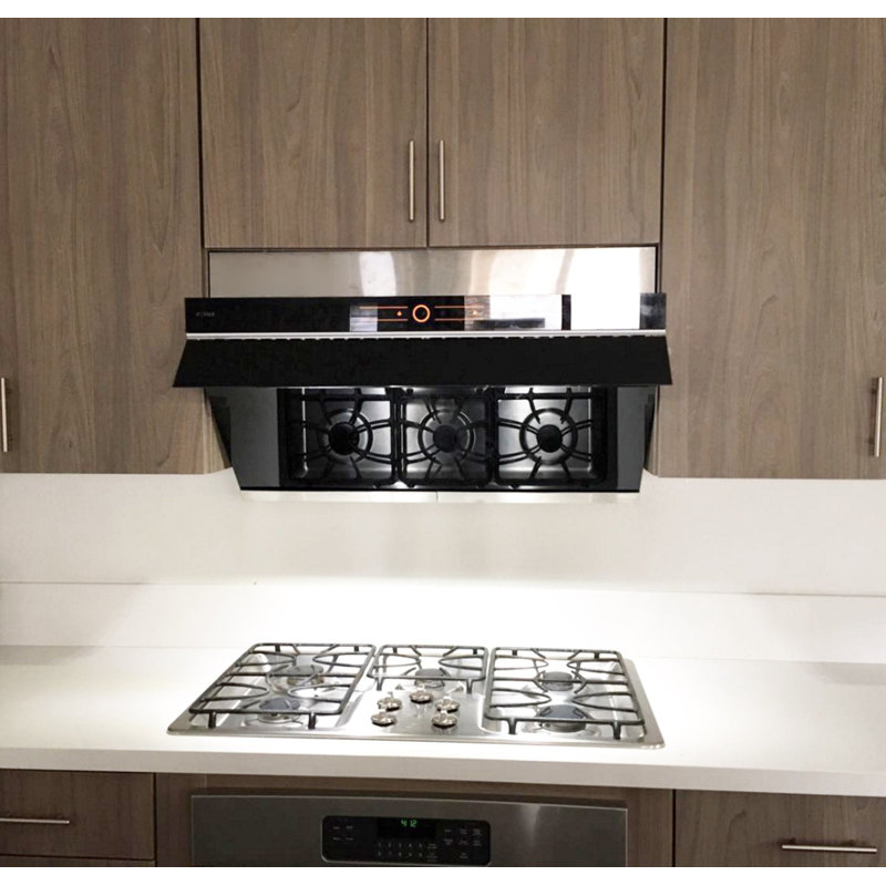 Decorative Plate for 36Inch Inclined Vent Series - 6', Stainless Steel, Stainless Steel, 6" H x 36" W x 1" D