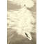 Mood Da Surf Print by Karyn Millet-70492216
