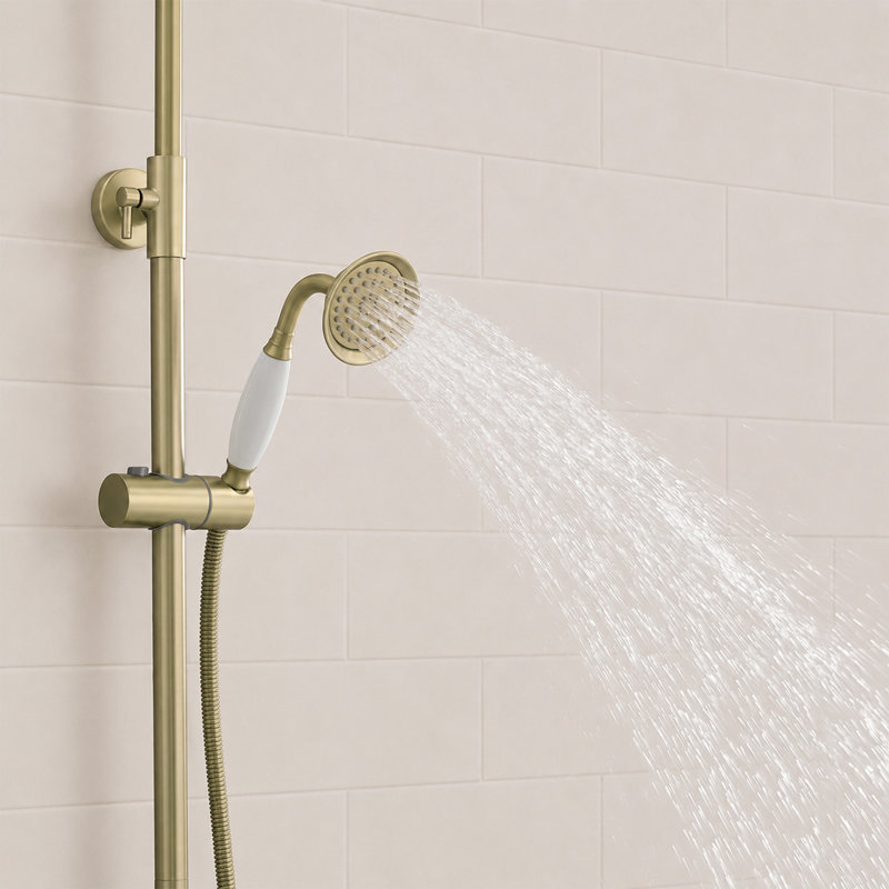Adjustable 2-Function Shower System with Handles, Brushed Gold