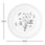 Assiettes plates 10 po, ensemble de 6