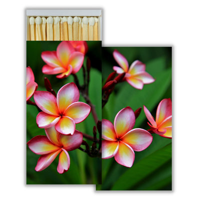 Allume-feu en toile Boho Garden X Gallery