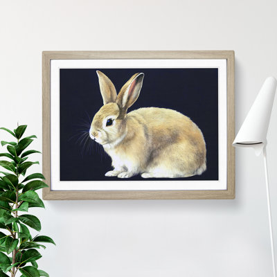Lone Rabbit - Single Picture Frame Print