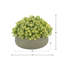 Sedum Arrangement in Fiberstone Pot-736966111