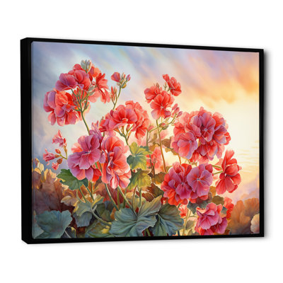 " Geraniums Sunset Blooming I "