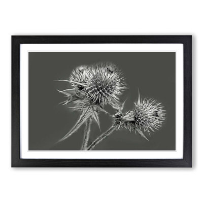 Single Picture Frame Print