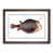 Walnut Framed selected