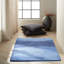 Tapis bleu noué à la main Luster Wash-17569668