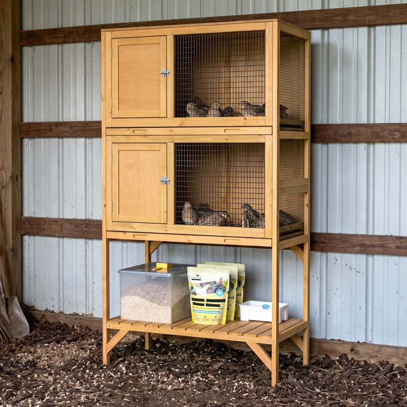 Cage à caille en bois pour l'intérieur, poulailler à 2 niveaux avec plateaux coulissants, grillage ventilé, portes d'accès et tablette