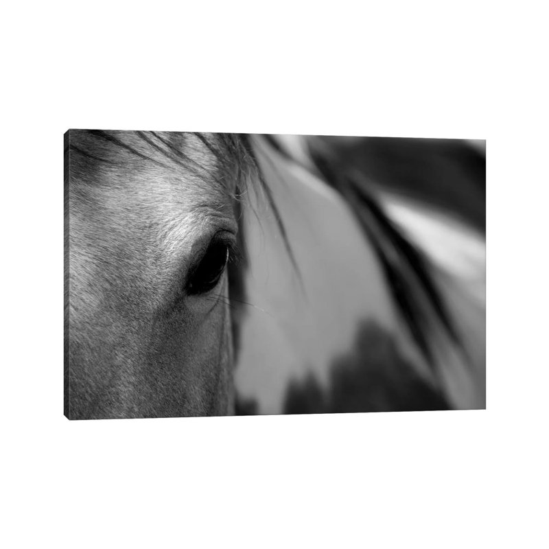 One Eye by Lu Anne Tyrrell - Wrapped Canvas Print, 20.32 cm H x 30.48 cm W