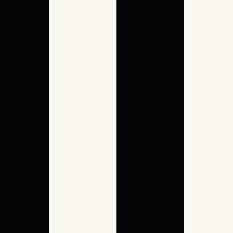 Rouleau de papier peint à rayures L 33 pi x l 21 po Stipes and Damasks II, Perle / noir