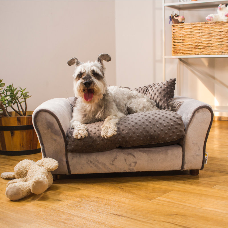 Canapé pour chien Pablo, Gris anthracite, L 28 po x P 20 po x H 12 po
