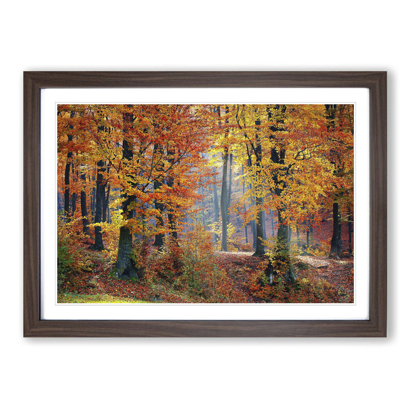 Landscape Forest In The Autumn - Single Picture Frame Print, Walnut