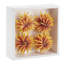Tiges de plantes grasses dans un cadre en bois-1730387214-1730387209
