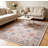 Vintage Area Rug 5 x 7 Floral Print Accent Carpet, Stain-Resistant Oriental Distressed Throw Rug with Non-Slip Backing, Washable Traditional Low Pile Indoor Mat for Living Room, Pink Colorful