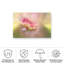 «Penny Myles Summer Dreaming On Canvas» par Penny Myles, reproduction-1500386945