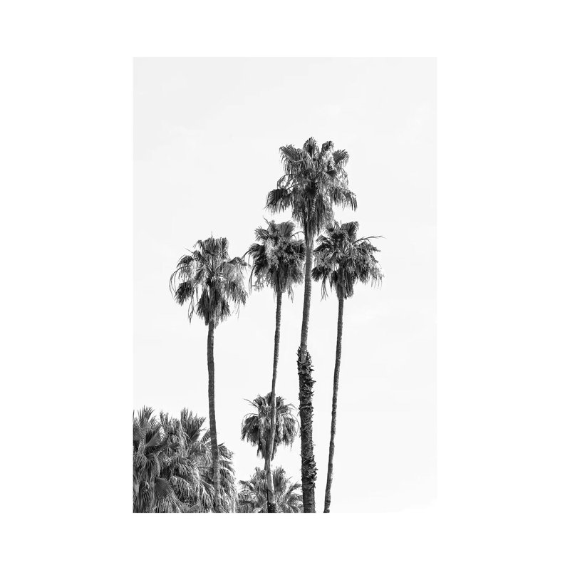 Palm Trees | Monochrome by Melanie Viola - Wrapped Canvas Print, 66.04 cm H x 45.72 cm W x 1.91 cm D