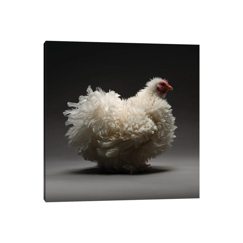 Frizzle Cochin by Chicken - Wrapped Canvas Gallery-Wrapped Canvas Giclée, 45.72 cm H x 45.72 cm W x 1.91 cm D