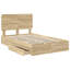 Bed-146578667-146578666