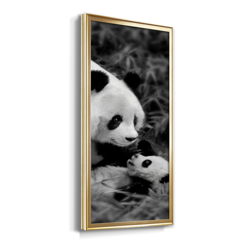 Panda Play - Photographie avec cadre photo sur toile, H 22,5 po x l 42,5 po x P 1,5 po, Doré