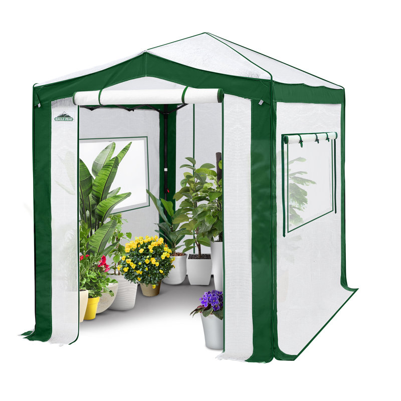 6' W x 8' D Hobby Greenhouse, White/Green