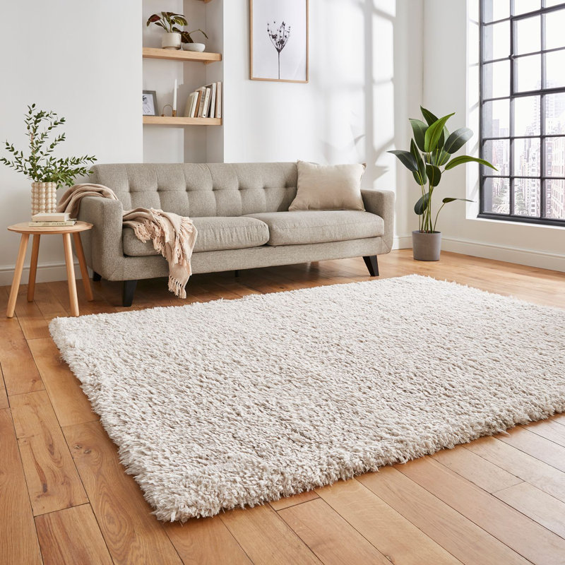 Alvery area rug Machine Woven Rectangle Ivory, Rectangle 120 x 170cm