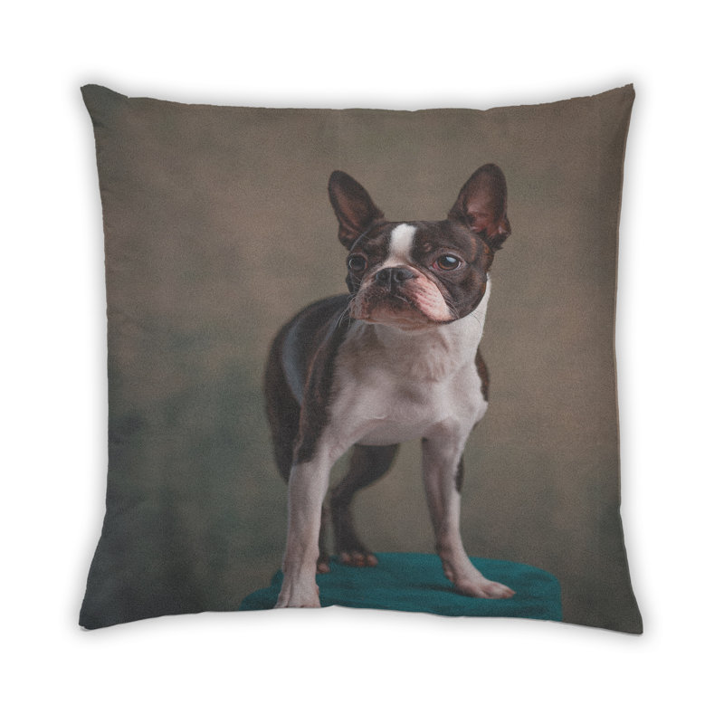 Coussin Dogs Dogs 30, Microsuède