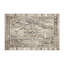 Tapis intérieur et extérieur Antique Aura-758116456