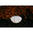 Soji 7.8'' Solar Powered Integrated LED Globe Lantern