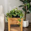 Artificial Plant in Planter