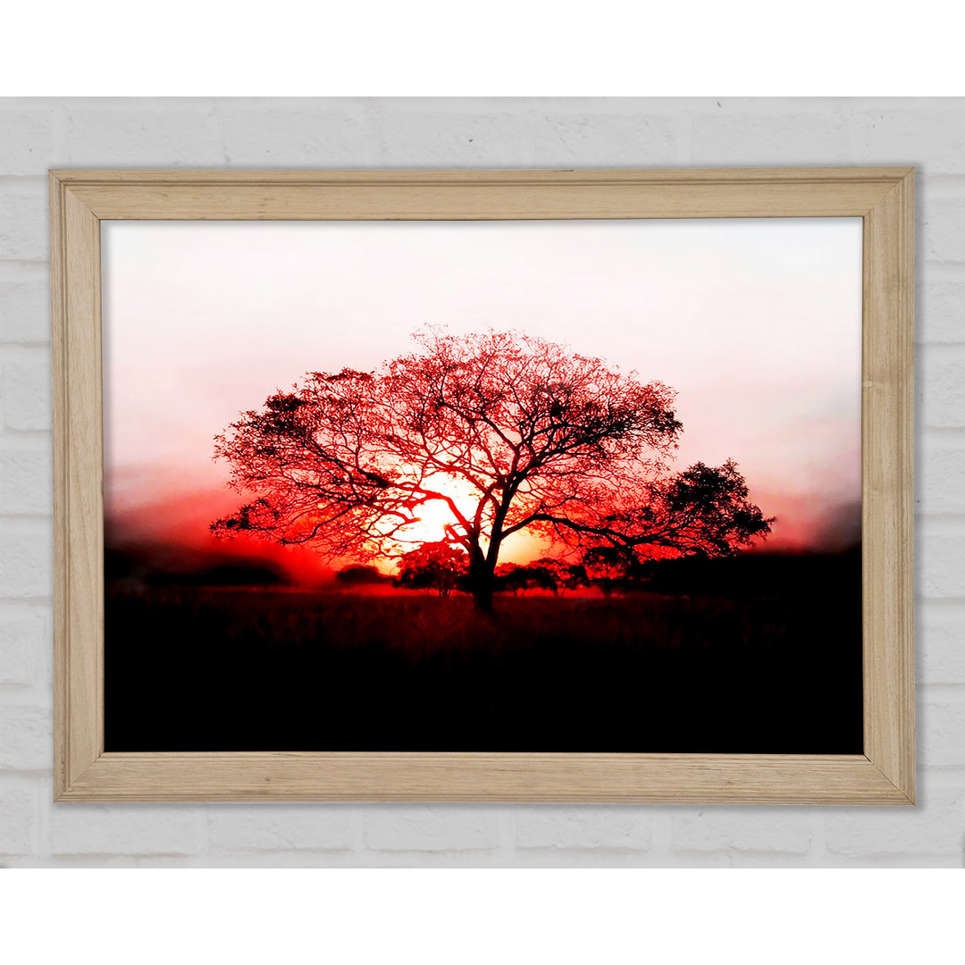 Kunstdruck Red Sunrise Oak Tree