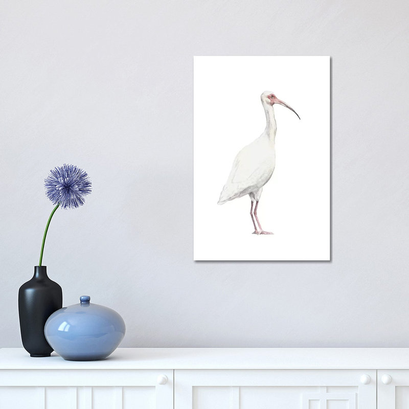 Ibis 1 Piece Wrapped Canvas Painting, 30.48 cm H x 45.72 cm W