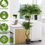 160 cm de plantes artificielles avec de longs accessoires de décoration de fleur de débarquement sans soudure