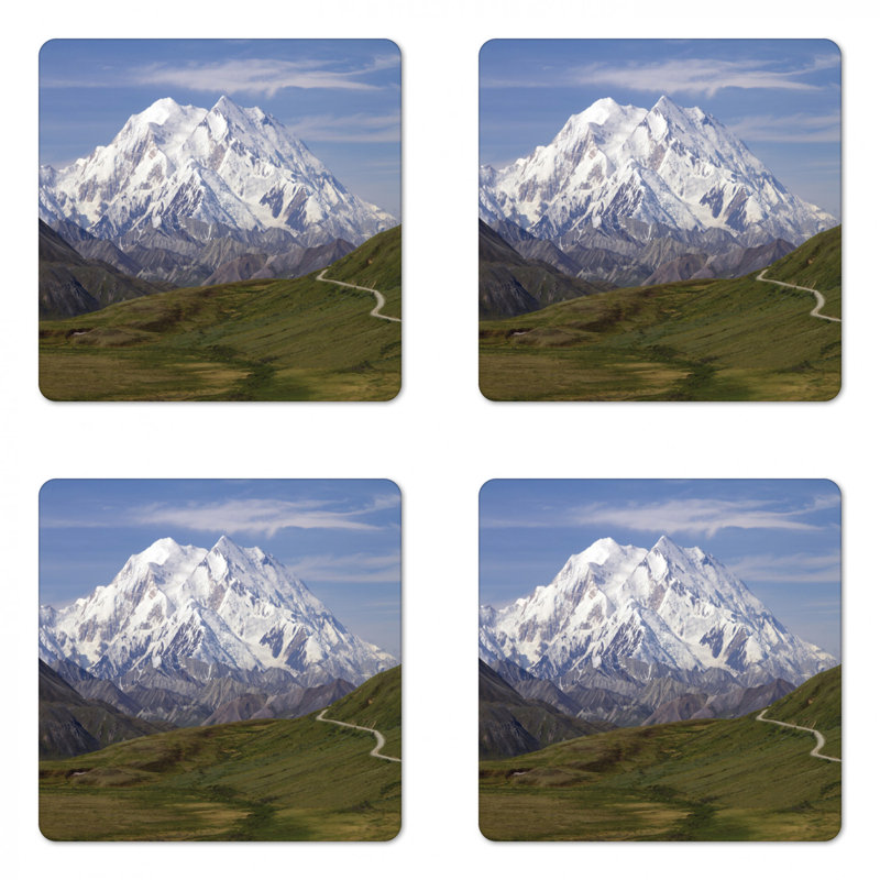 Square 4 Piece Coaster Set