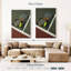 Raquettes et balles de tennis Sireci-108427665